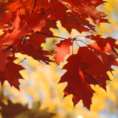 Photo #13450664