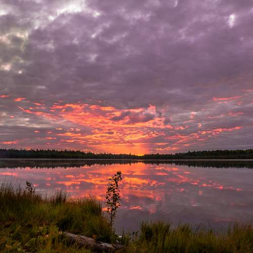 Photo #13450704