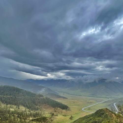Photo #13450821
