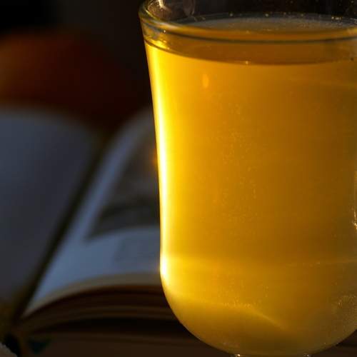 Photo #13450831