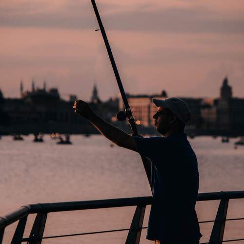 Photo #13451028