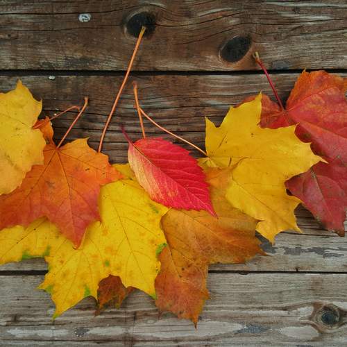 Photo #13451123