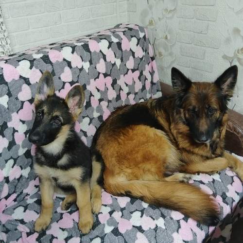 Photo #13451172