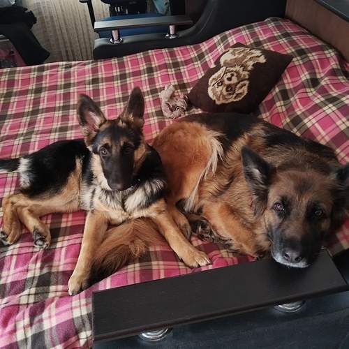 Photo #13451174