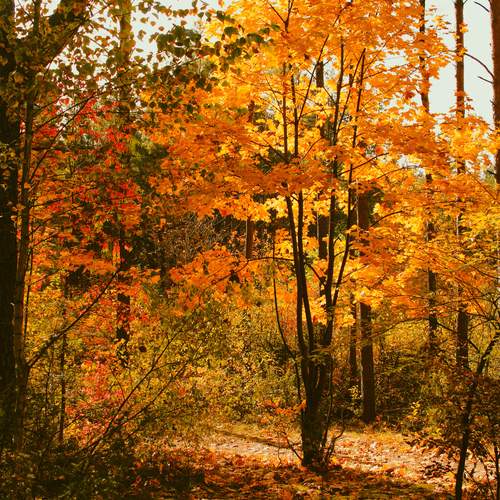 Photo #13451325