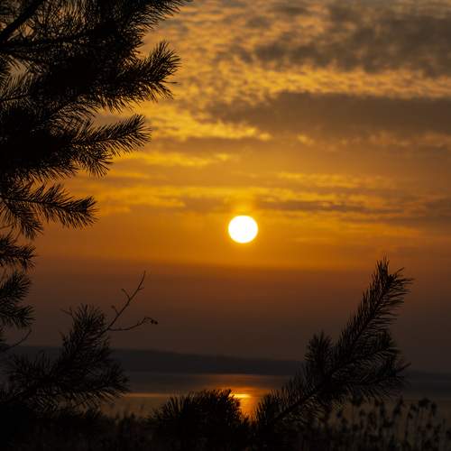 Photo #13451382