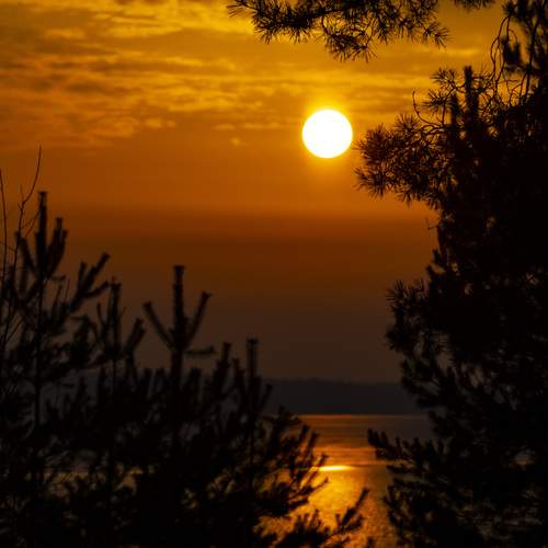 Photo #13451384