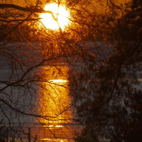 Photo #13451385