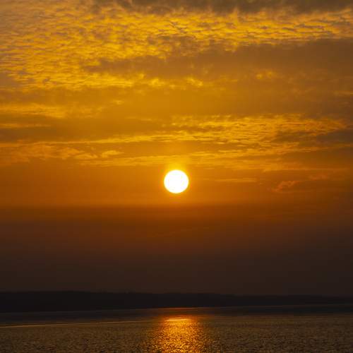 Photo #13451392