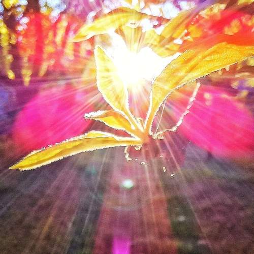 Photo #13451396