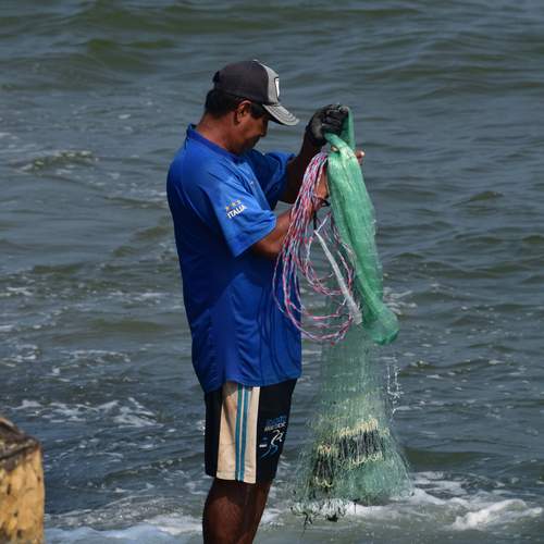 Photo #13451500