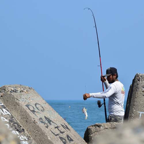 Photo #13451509