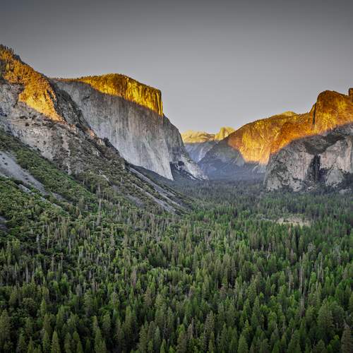 Photo #13451635