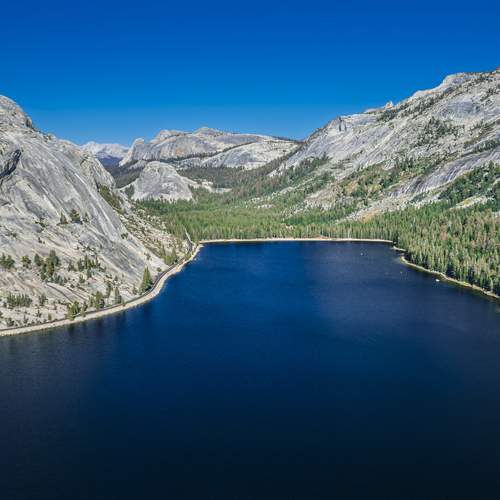 Photo #13451636