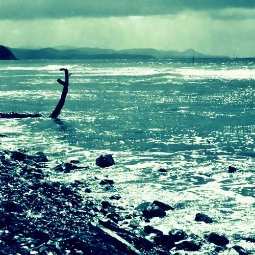 Photo #13451876