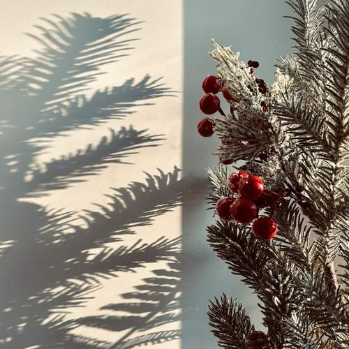 Photo #13451983