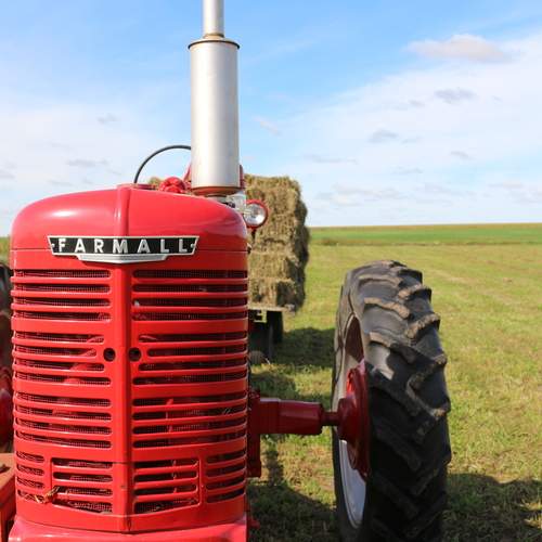 A Historic Midwestern Staple