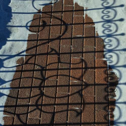 Photo #13452066