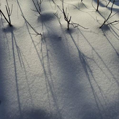 Photo #13452078