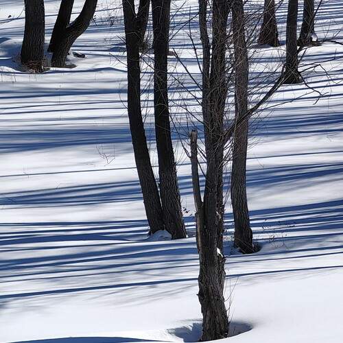 Полосатый пейзаж