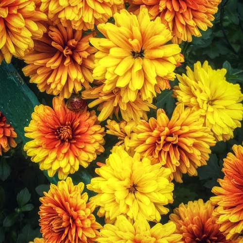 Игра красок