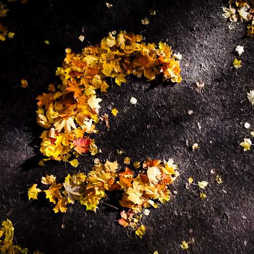 Photo #13452204
