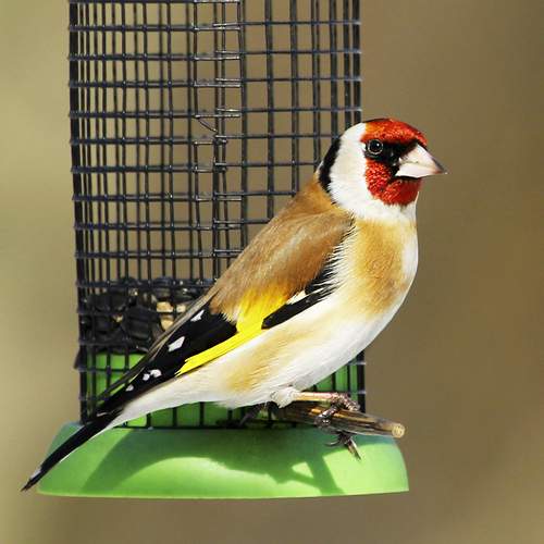 Photo #13452223