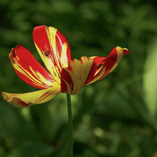 Photo #13452249