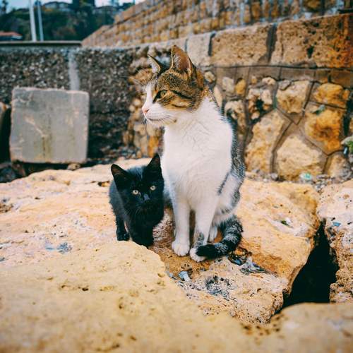 Photo #13452354