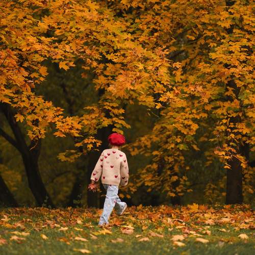 Photo #13452404