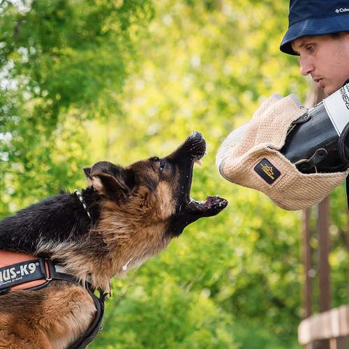 Photo #13452420