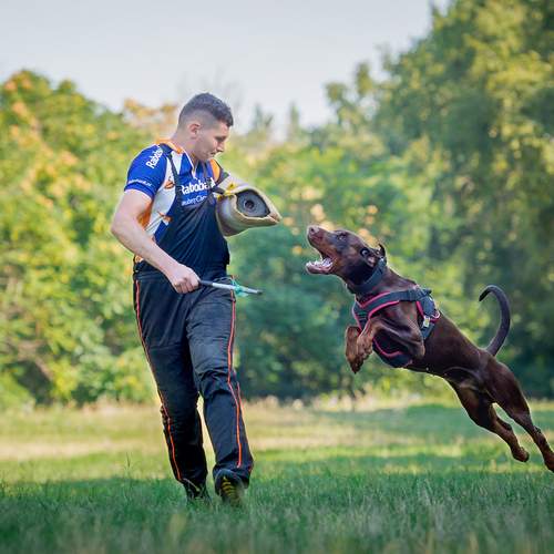 Photo #13452421