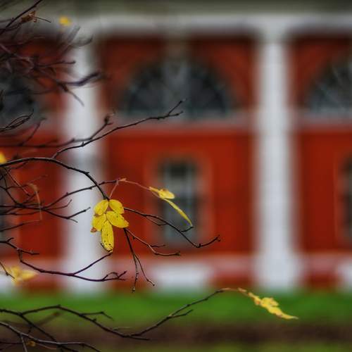 Осенний мотив.