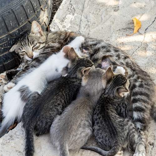Photo #13452560