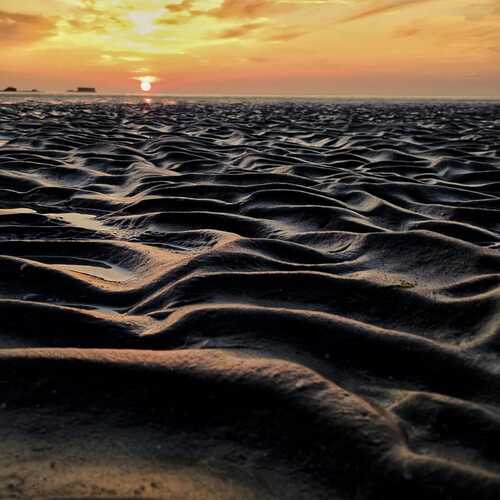 Фотография #13452789