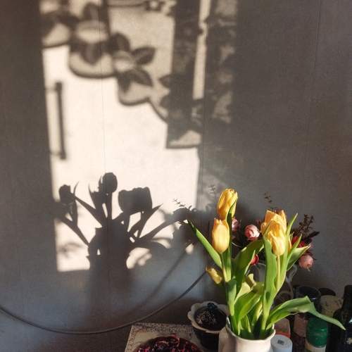 Photo #13452957