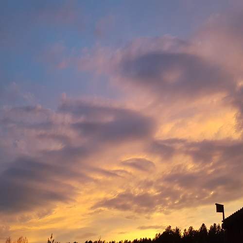 Photo #13453089