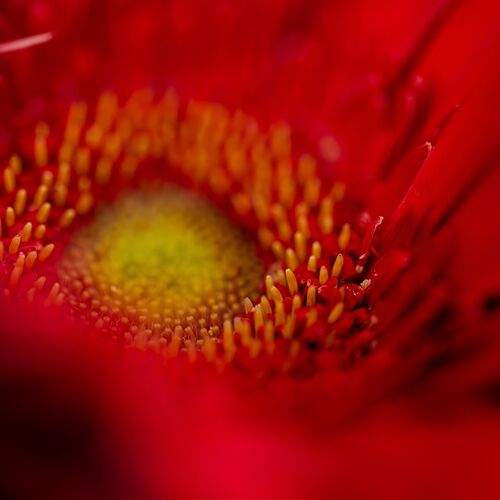 Photo #13453368
