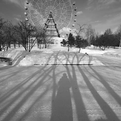 В тени деревьев у чёртова колеса