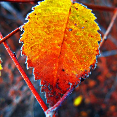 Photo #13453577