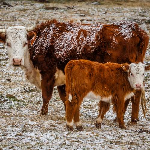 Фотография #13453593