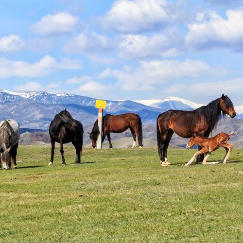 Фотография #13453602