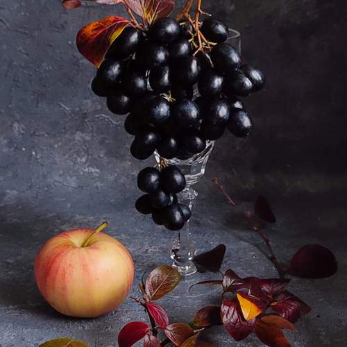 Photo #13454088