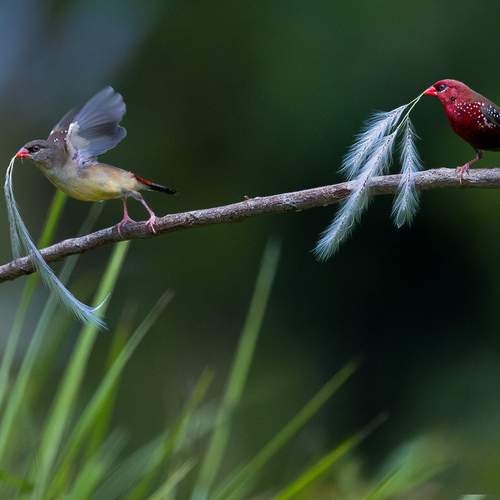 Photo #13454126