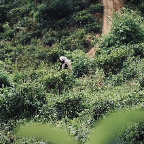 Photo #13454267