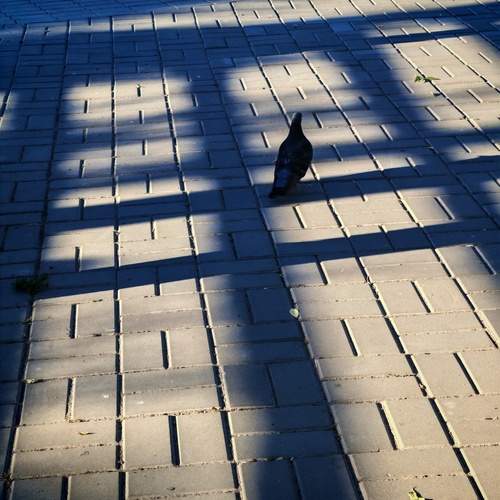 Photo #13454444