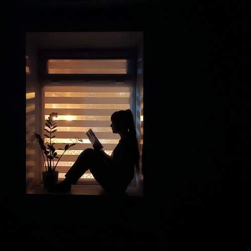 Photo #13454517
