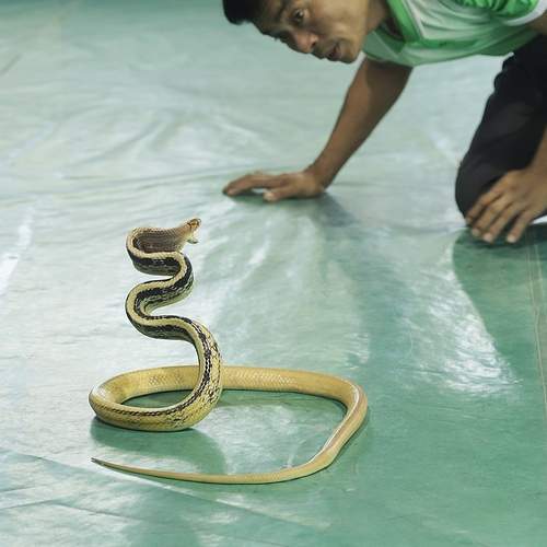 Photo #13454618