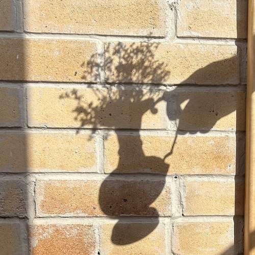 Photo #13454629