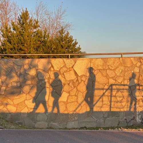 Photo #13454630